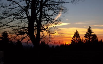 Atempause Dezember 2021