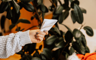 Gewinner Nikolaus-Gewinnspiel