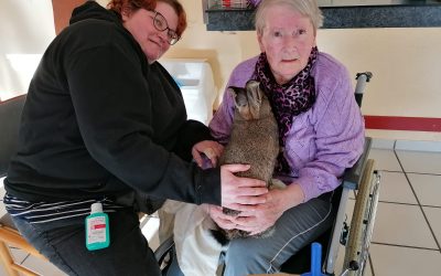 Zusatztürchen in unserem DEIN ZOAR. Adventskalender